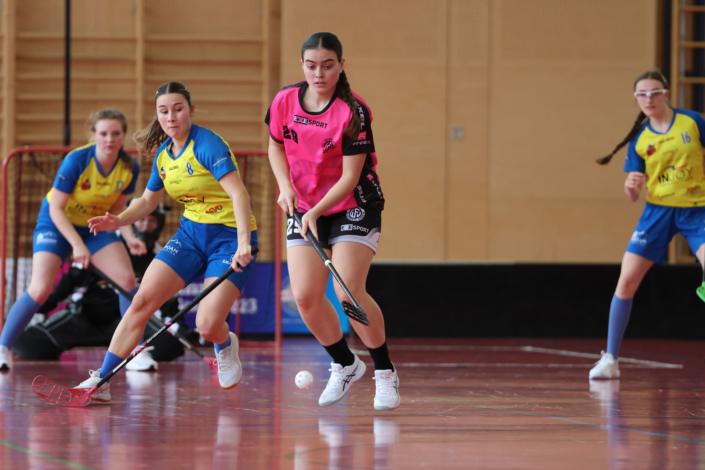 55146250462_84846eaacb_k (1)