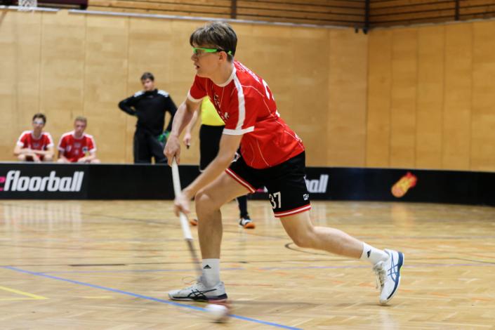 55096456392_5b531806c8_k